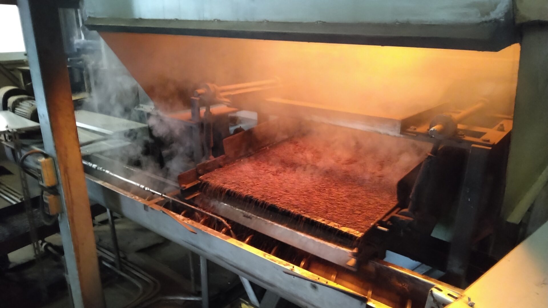 こだわり造り丸粒パック麦茶（精白大麦）（長谷川商店）