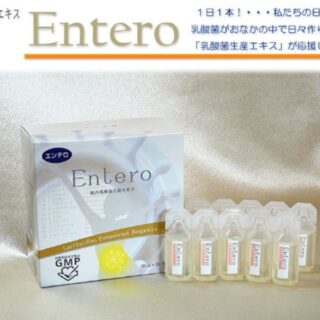 エンテロ 複合乳酸菌生産エキス 10ml×30本入 エンテロ Entero 複合