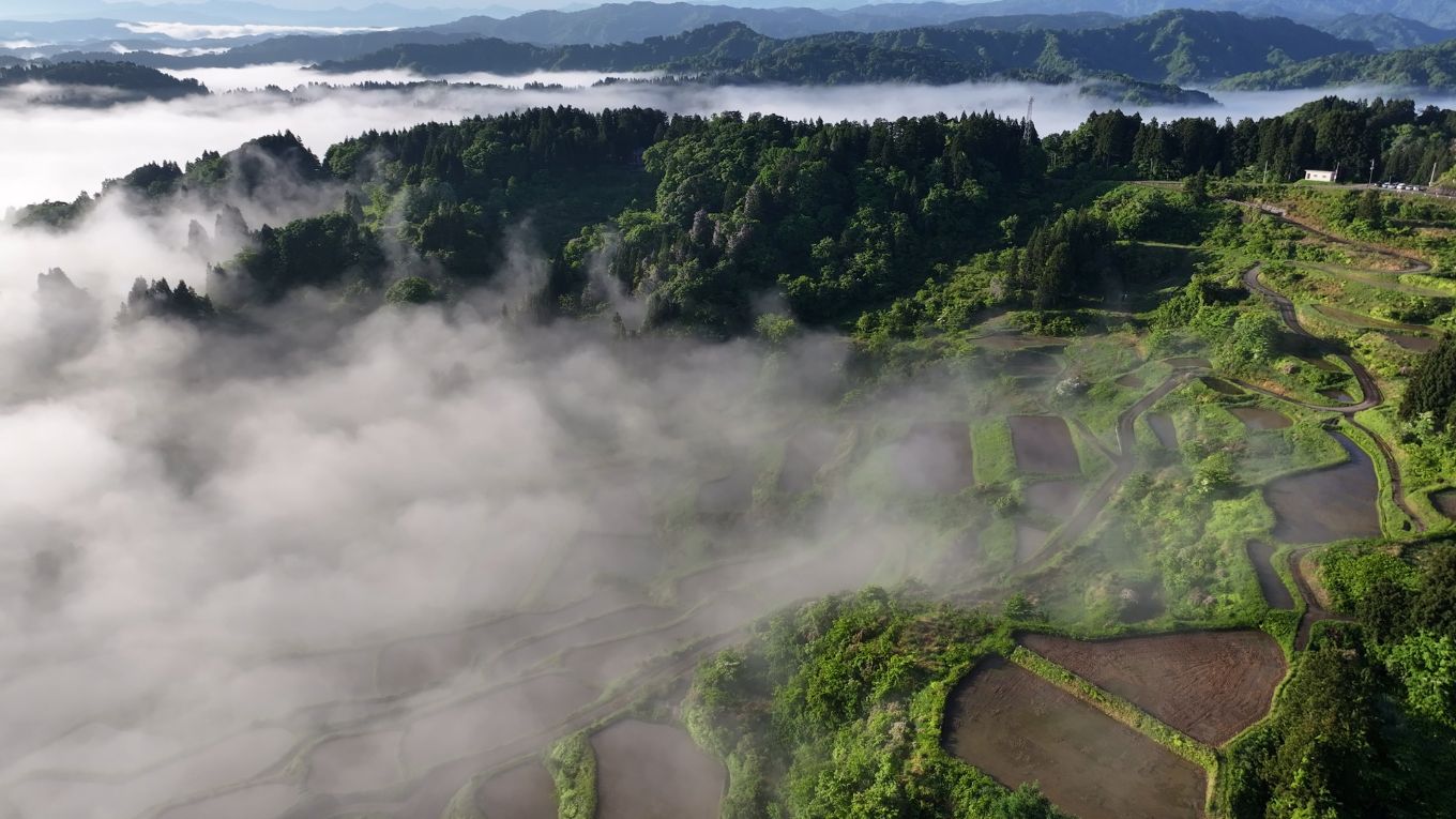 【加盟情報】株式会社 Gree